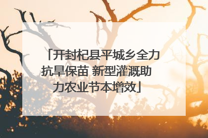 开封杞县平城乡全力抗旱保苗 新型灌溉助力农业节本增效