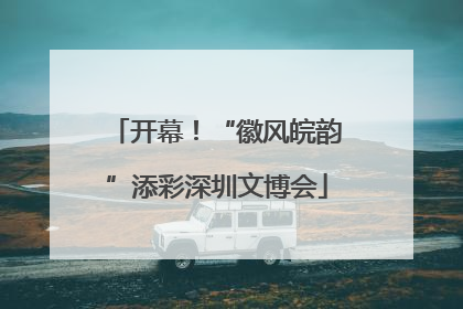 开幕！“徽风皖韵”添彩深圳文博会