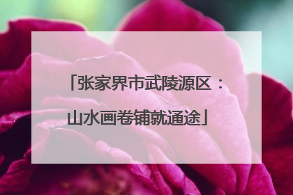 张家界市武陵源区：山水画卷铺就通途