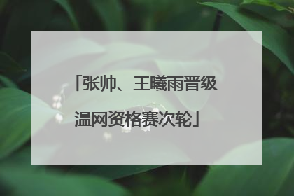 张帅、王曦雨晋级温网资格赛次轮