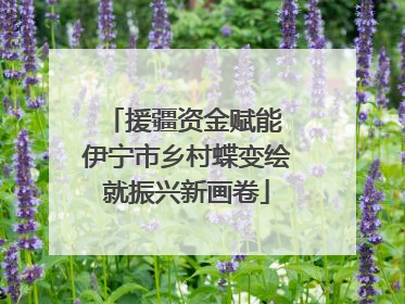援疆资金赋能 伊宁市乡村蝶变绘就振兴新画卷