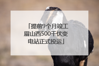 提前9个月竣工 眉山西500千伏变电站正式投运