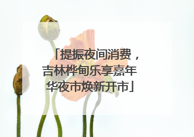 提振夜间消费，吉林桦甸乐享嘉年华夜市焕新开市