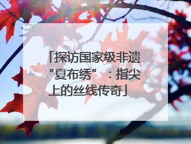 探访国家级非遗“夏布绣”：指尖上的丝线传奇