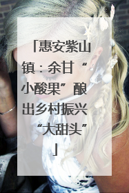惠安紫山镇：余甘“小酸果”酿出乡村振兴“大甜头”