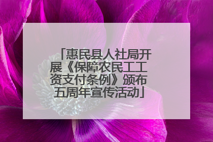 惠民县人社局开展《保障农民工工资支付条例》颁布五周年宣传活动