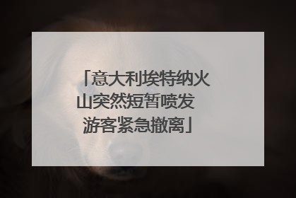 意大利埃特纳火山突然短暂喷发 游客紧急撤离