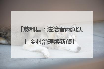 慈利县：法治春雨润沃土 乡村治理焕新颜