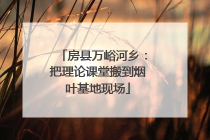 房县万峪河乡：把理论课堂搬到烟叶基地现场