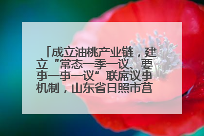 成立油桃产业链，建立“常态一季一议、要事一事一议”联席议事机制，山东省日照市莒县果庄镇——13个党小组“全周期”育果