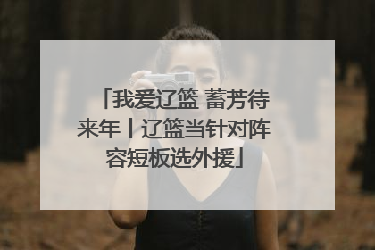 我爱辽篮 蓄芳待来年丨辽篮当针对阵容短板选外援