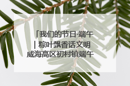 我们的节日·端午｜粽叶飘香话文明 威海高区初村镇端午系列活动亮点纷呈
