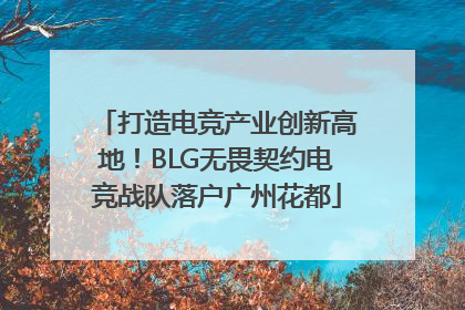 打造电竞产业创新高地！BLG无畏契约电竞战队落户广州花都
