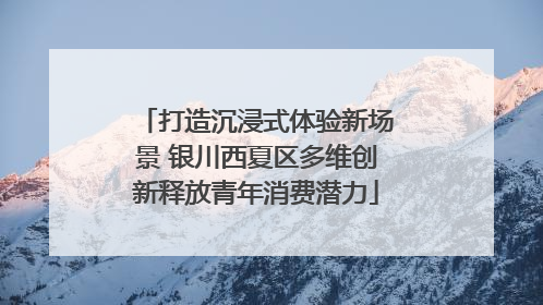 打造沉浸式体验新场景 银川西夏区多维创新释放青年消费潜力