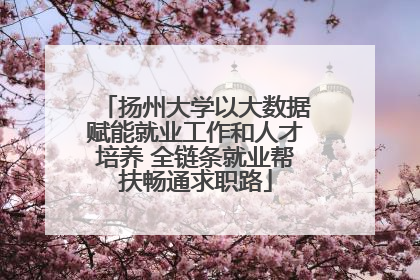 扬州大学以大数据赋能就业工作和人才培养 全链条就业帮扶畅通求职路