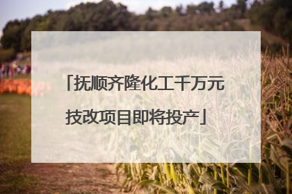 抚顺齐隆化工千万元技改项目即将投产