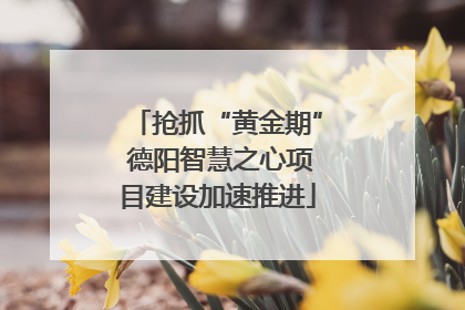 抢抓“黄金期” 德阳智慧之心项目建设加速推进