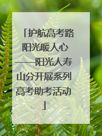 护航高考路 阳光暖人心——阳光人寿山分开展系列高考助考活动