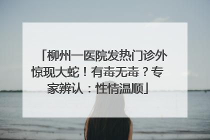柳州一医院发热门诊外惊现大蛇！有毒无毒？专家辨认：性情温顺