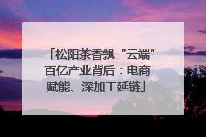 松阳茶香飘“云端” 百亿产业背后：电商赋能、深加工延链