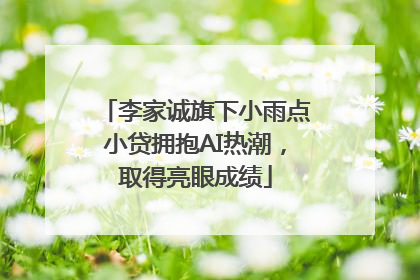 李家诚旗下小雨点小贷拥抱AI热潮，取得亮眼成绩