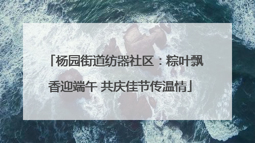 杨园街道纺器社区：粽叶飘香迎端午 共庆佳节传温情