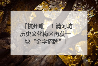 杭州唯一！清河坊历史文化街区再获一块“金字招牌”