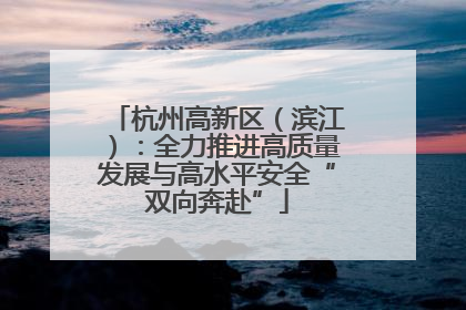 杭州高新区（滨江）：全力推进高质量发展与高水平安全“双向奔赴”