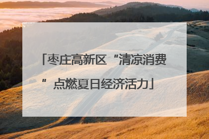 枣庄高新区“清凉消费”点燃夏日经济活力
