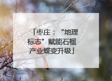 枣庄：“地理标志”赋能石榴产业蝶变升级