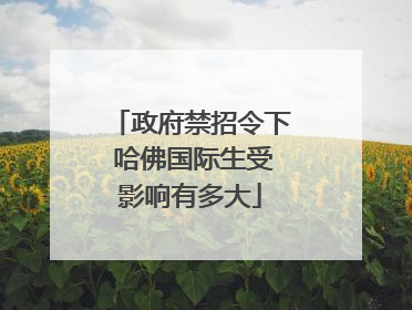 政府禁招令下 哈佛国际生受影响有多大