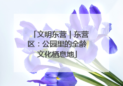 文明东营｜东营区：公园里的全龄文化栖息地