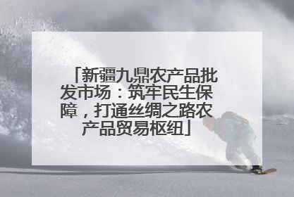 新疆九鼎农产品批发市场：筑牢民生保障，打通丝绸之路农产品贸易枢纽