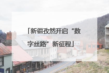 新疆孜然开启“数字丝路”新征程