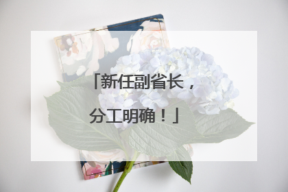 新任副省长，分工明确！