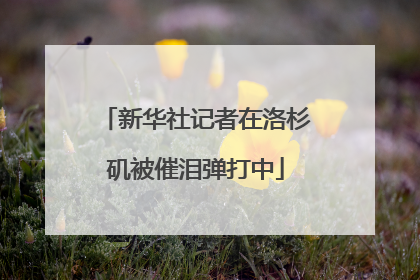 新华社记者在洛杉矶被催泪弹打中