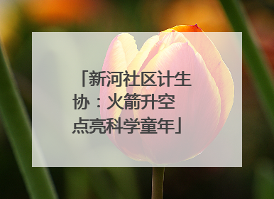 新河社区计生协：火箭升空 点亮科学童年