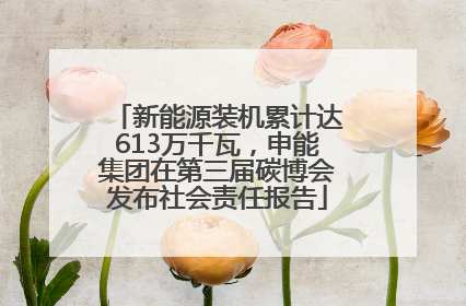 新能源装机累计达613万千瓦，申能集团在第三届碳博会发布社会责任报告