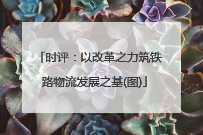 时评：以改革之力筑铁路物流发展之基(图)