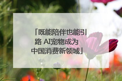 既能陪伴也能引路 AI宠物成为中国消费新领域