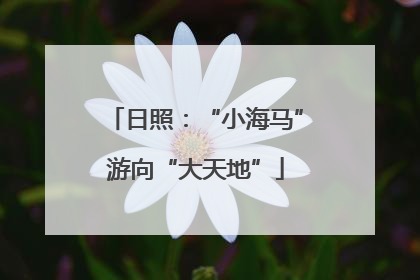 日照：“小海马”游向“大天地”
