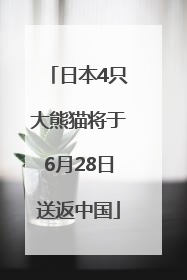 日本4只大熊猫将于6月28日送返中国
