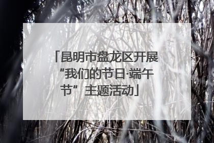 昆明市盘龙区开展“我们的节日·端午节”主题活动