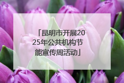 昆明市开展2025年公共机构节能宣传周活动