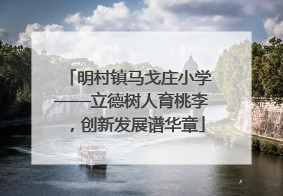 明村镇马戈庄小学——立德树人育桃李，创新发展谱华章