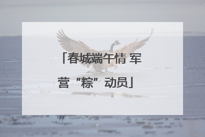 春城端午情 军营“粽”动员