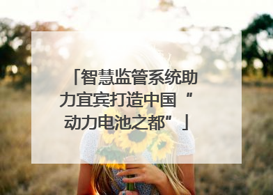 智慧监管系统助力宜宾打造中国“动力电池之都”