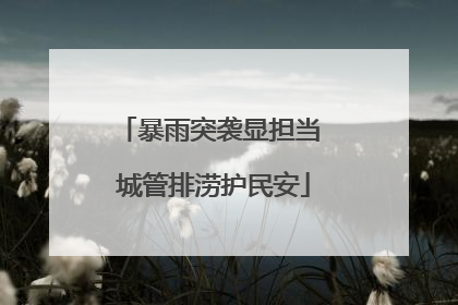 暴雨突袭显担当 城管排涝护民安
