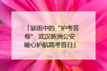 暴雨中的“护考答卷” 武汉新洲公安暖心护航高考首日