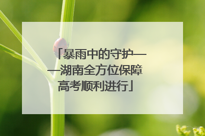 暴雨中的守护——湖南全方位保障高考顺利进行